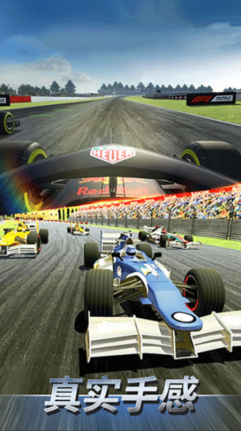 F1赛车模拟3Dv1.4(4)