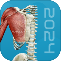 3D肌肉解剖 v1.1